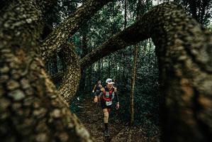 BIB: 
                            <button type="button" onclick="openModal(25671221)" class="btn btn-primary btn-sm float-right btn-popup" data-toggle="modal" data-target=".modal-high-quality">
                        <i class="fas fa-shopping-cart"></i> Add to Cart
                    </button>
                                            <button type="button" onclick="isThisMe(25671221, true)" class="btn btn-success btn-sm float-right btn-popup btn-isme hidden" data-toggle="tooltip" data-placement="bottom" title="นี่คือรูปของคุณใช่ไหม คลิกที่นี่เพื่อเอาเข้าอัลบั้ม">
                        <i class="fas fa-plus"></i> Add to album
                    </button>
                    <button type="button" onclick="isThisMe(25671221, false)" class="btn btn-warning btn-sm float-right btn-popup btn-isnotme hidden">
                        <i class="fas fa-ban"></i> Remove from album
                    </button>